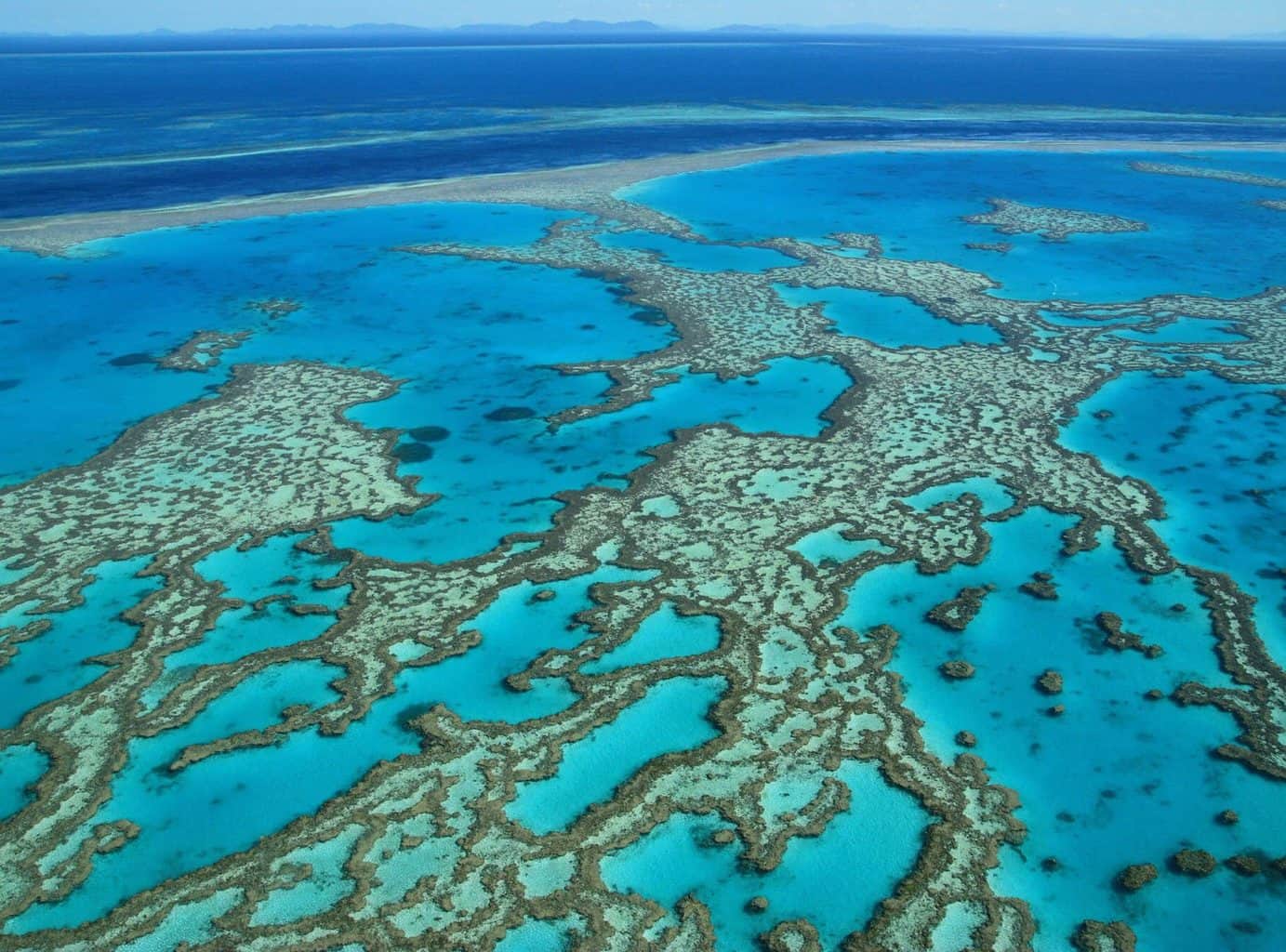 Oceania, Australia & New Zealand Travel - blue coral waters shot