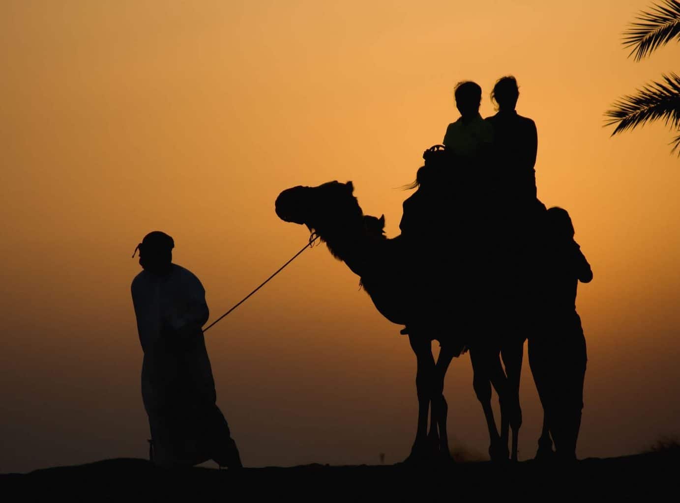 Middle East Holidays - Camel Ride at Sunset