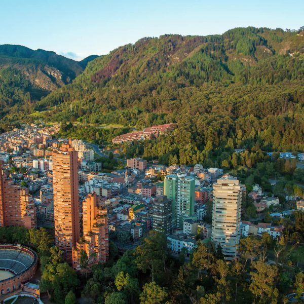 Buildings and trees - things to do in Bogota