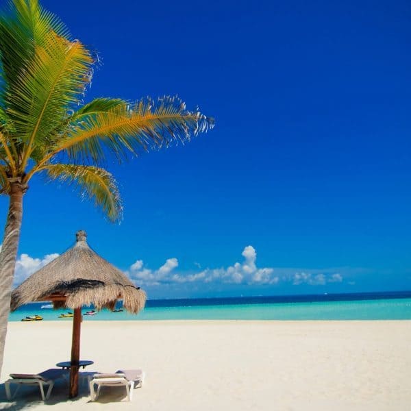 Luxury Holidays To Cancún - White beach, palm tree, sunbed and ocean view
