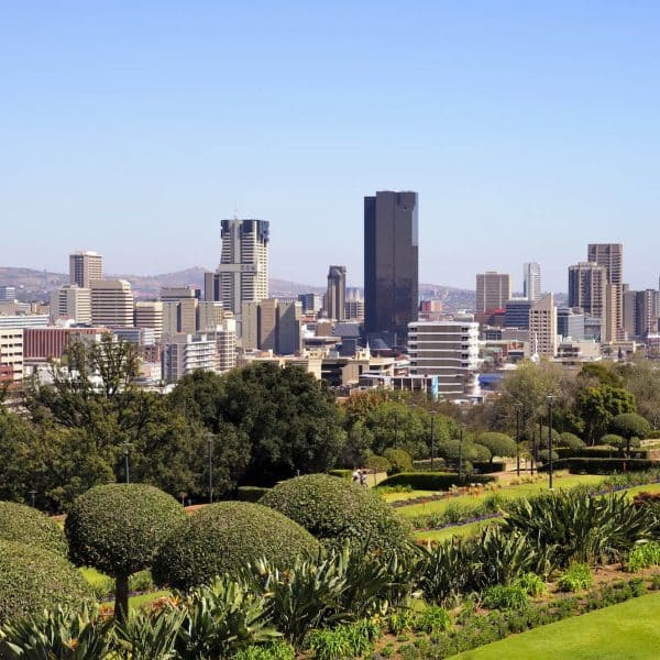 Luxury Johannesburg Holidays - City skyline view with trees in forground