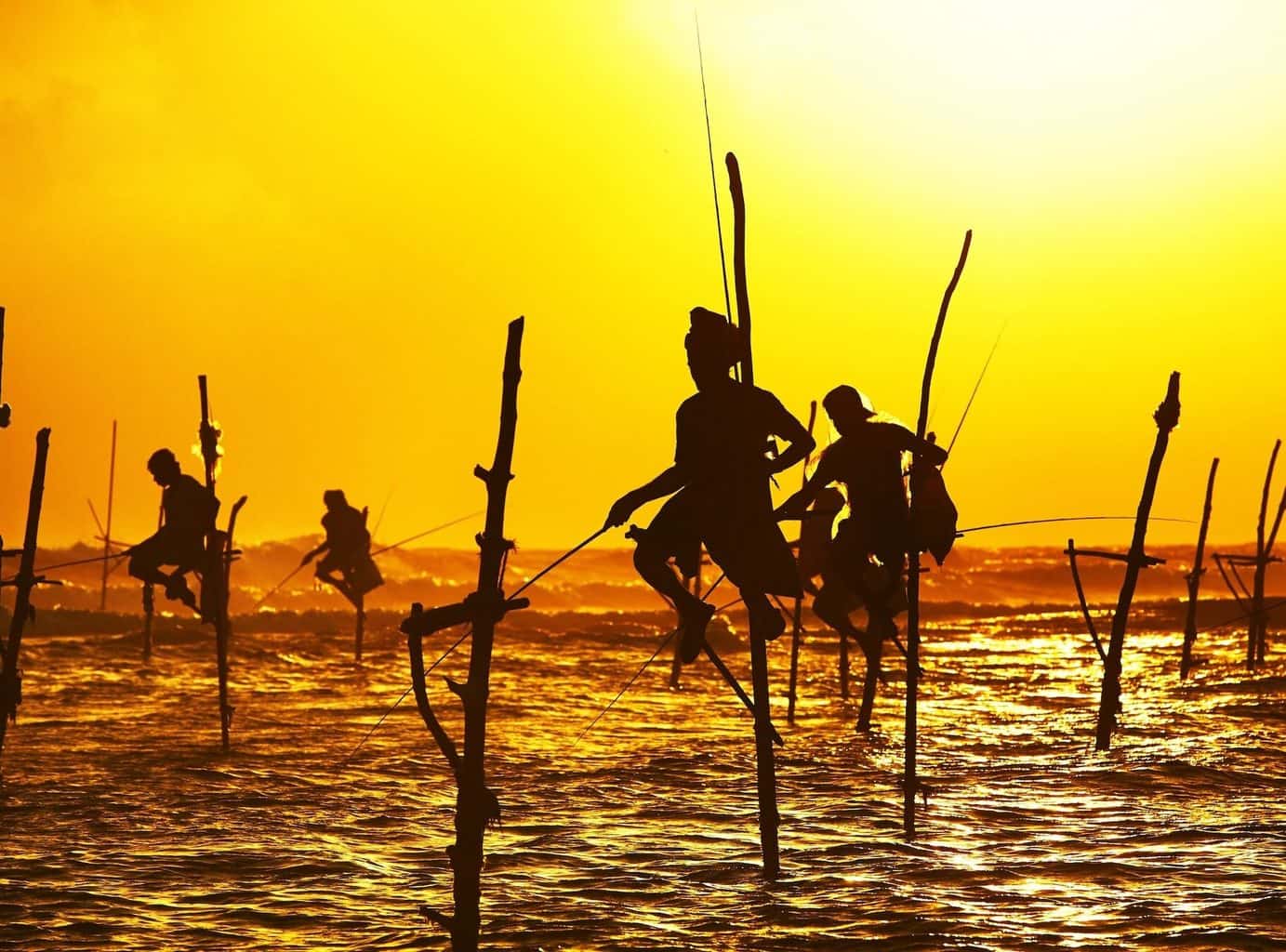 Luxury Sri Lanka Holidays silhoettes in water at sunset
