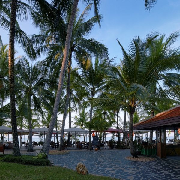 View of the beach with palm tree at Santiburi Beach Resort & Spa Koh Samui in Thailand