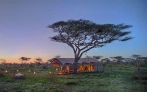 serengeti under canvas tanzania zanzibar holiday