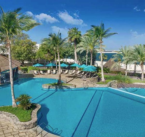 JA Palm Tree Court Dubai Offer pool view