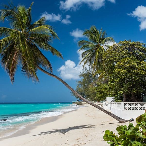 Luxury Hotels in Barbados beach and ocean view