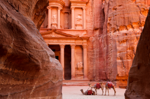 Things to do in Amman Visit Petra Camels