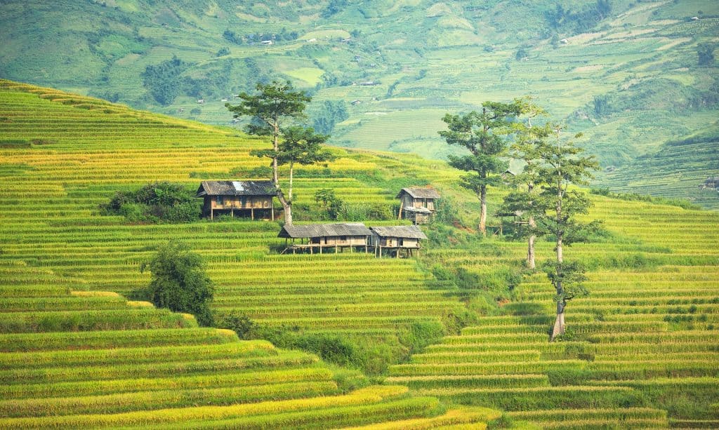 Rice Fields in Bali - Top Destinations Travel Blog