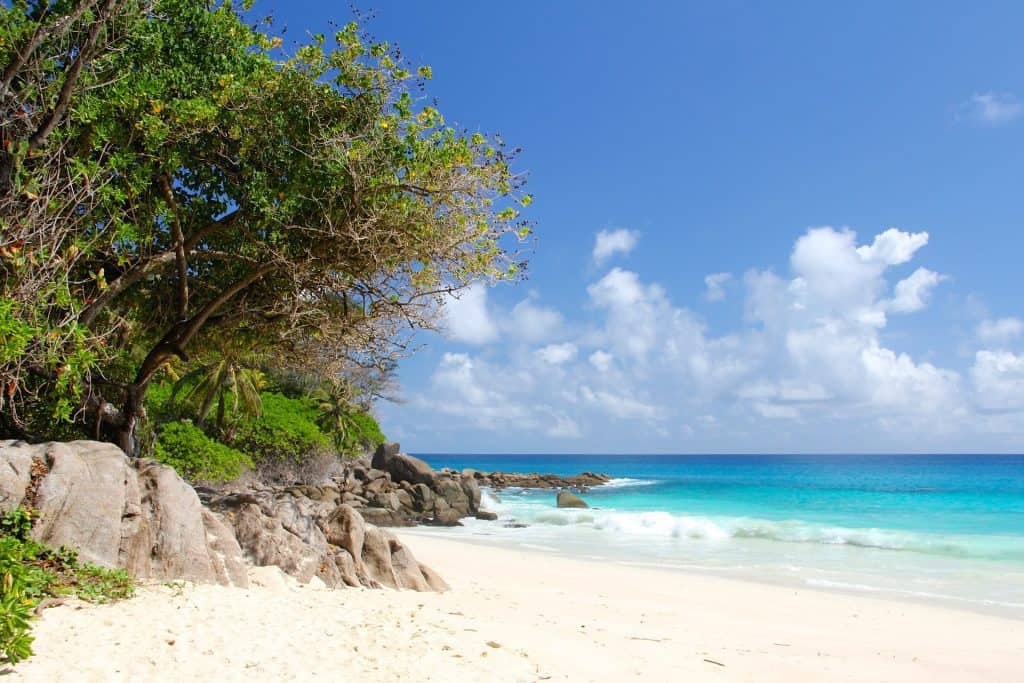 Beach in Seychelles - Top Destinations Travel Blog